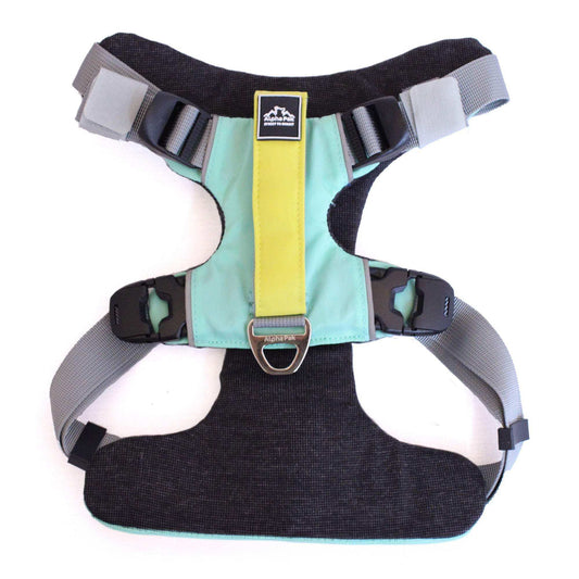 Everyday Adventure Dog Harness with adjustable straps for outdoor use