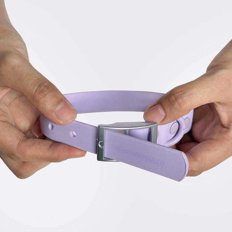 Everyday Collar in lilac with coated nylon polyester strap and metal buckle being held by hands, durable and water-resistant