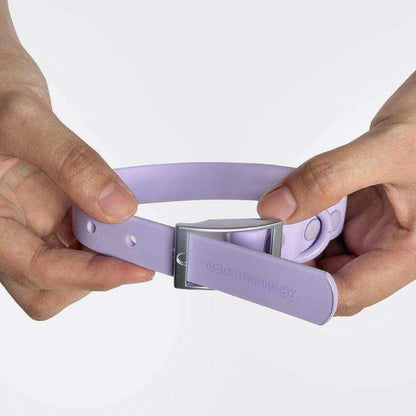 Everyday Collar in lilac with coated nylon polyester strap and metal buckle being held by hands, durable and water-resistant