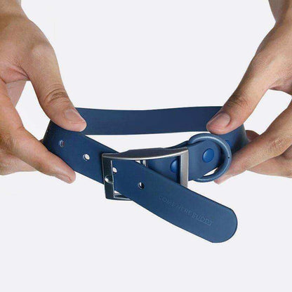 Everyday Collar in navy blue with durable coated strap and sturdy silver metal buckle and D-ring for dogs
