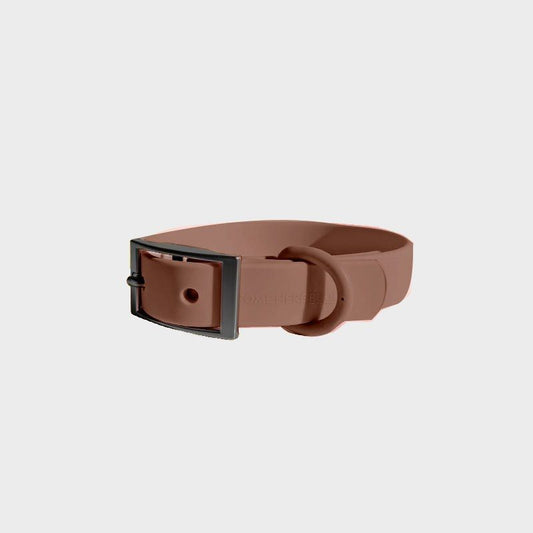 Durable everyday nylon dog collar with zinc alloy buckle and steel D-rings