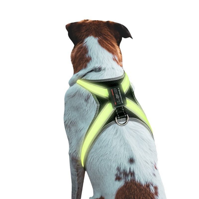 Explosion proof LED chest braces and collars for dogs with color-changing lights