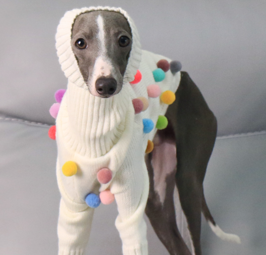 New Italian Greyhound Whippet Christmas Sweater