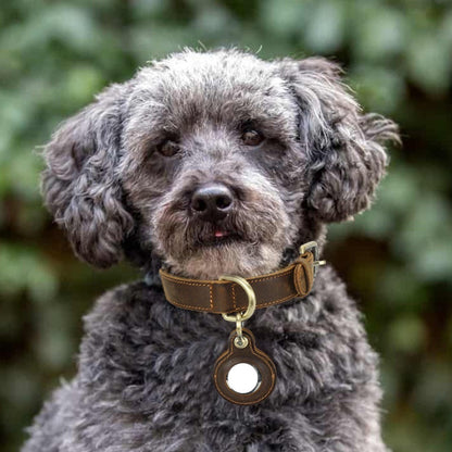 Retro Double-sided Cowhide Dog Collar Handmade Halter Positioning Tracking Anti-lost