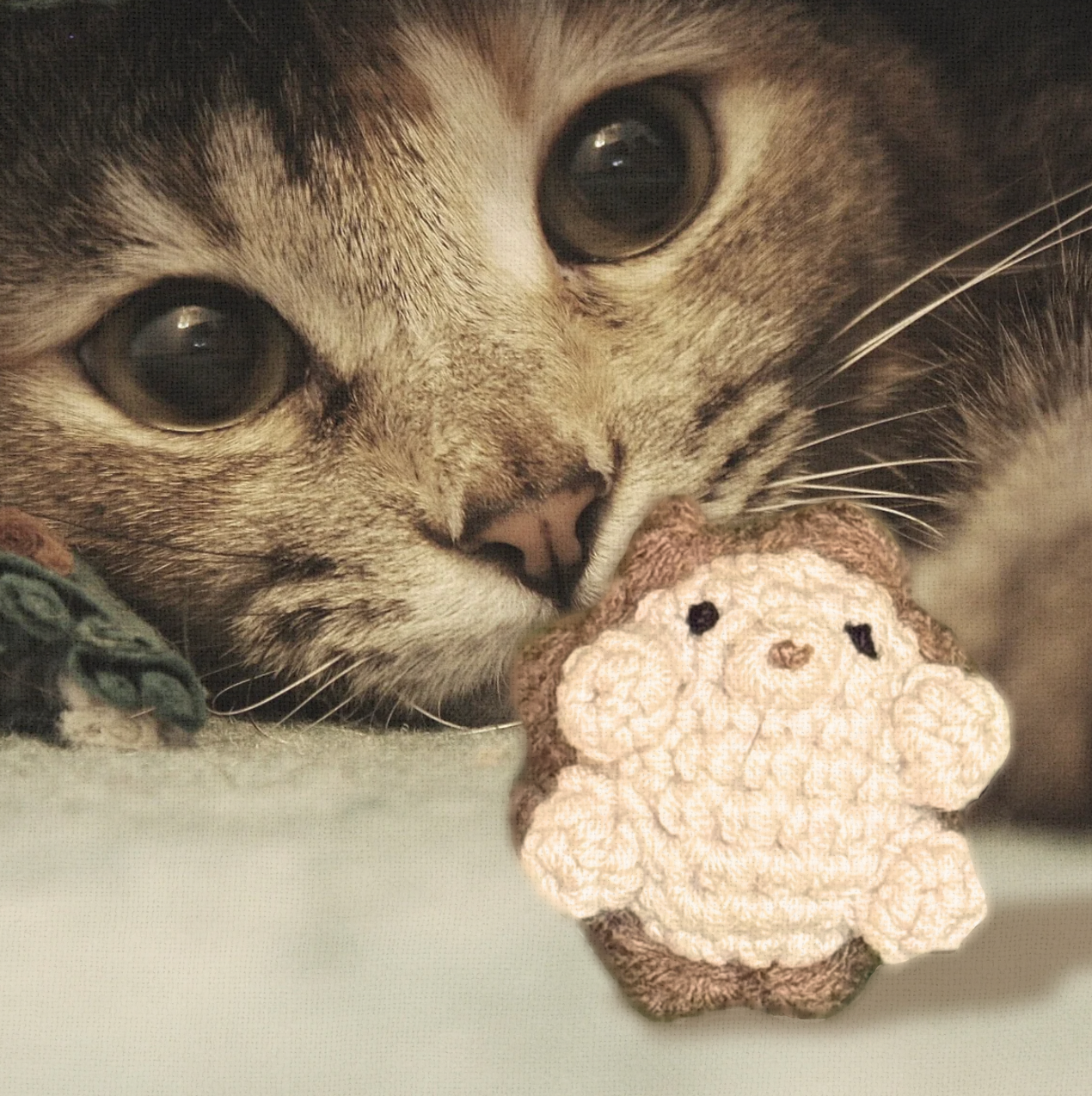 Cat playing with Harold the hedgehog lightweight woven cat toy filled with Miracle Nip botanicals