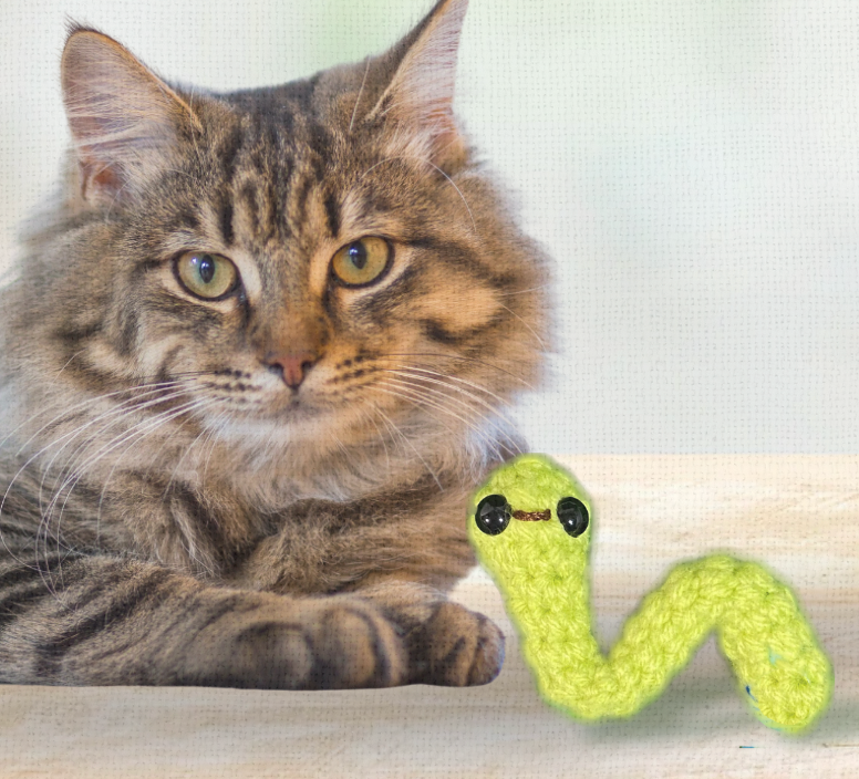Cat playing with Noodle the Inchworm lightweight woven inchworm-shaped catnip toy infused with Miracle Nip botanicals