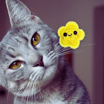 Grey cat with yellow lightweight cat toy shaped like a smiling star with crinkles