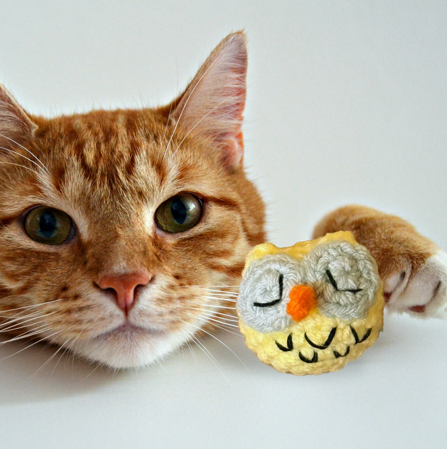 Yolk the owl | Lightweight Cat Toy, Engaging Play & Scent Stimulation