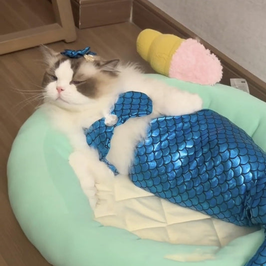 Cat Mermaid Costume Creative Cat And Dog Costumes Funny Cat Mermaid Costume Cat Mermaid Fishtail Dress Puppy Mermaid Fishtail Dress Pet Mermaid Costume Humor Funny Photo Props