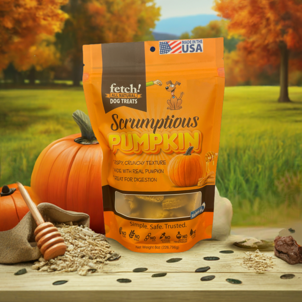 Package of fetch! Scrumptious Pumpkin Biscuits dog treats with pumpkin and oat flour displayed outdoors with pumpkins and oats