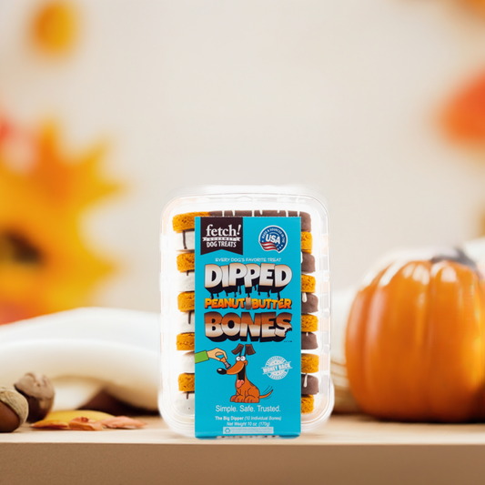 Package of fetch! Dog Treats Dipped Bones peanut butter flavored autumn dog biscuits with fall-themed background and pumpkin