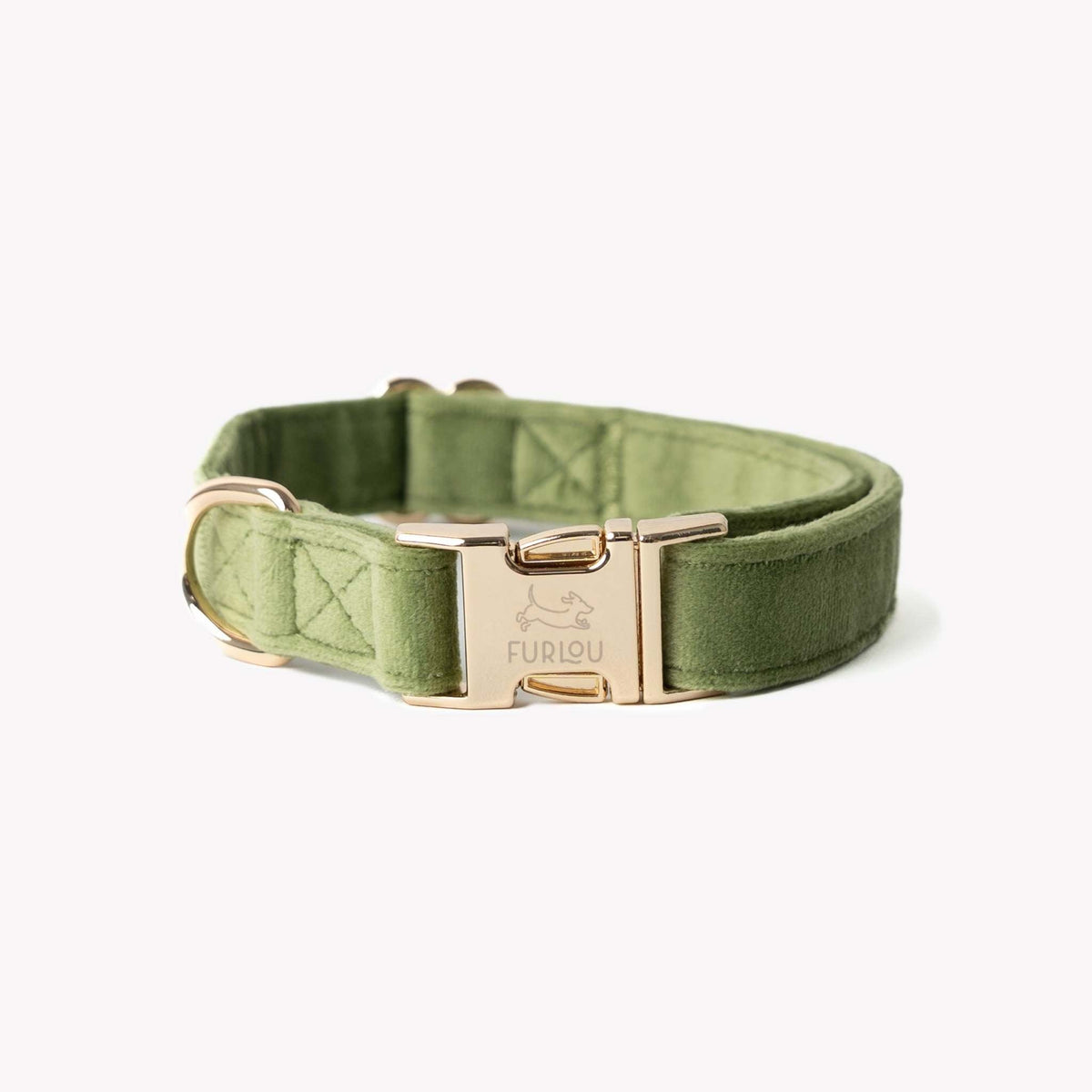green velvet dog collar with gold details