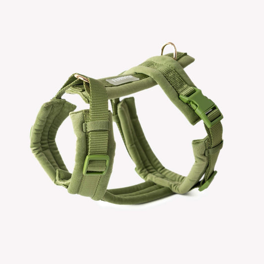 Green velvet dog harness with gold hardware and padded lining