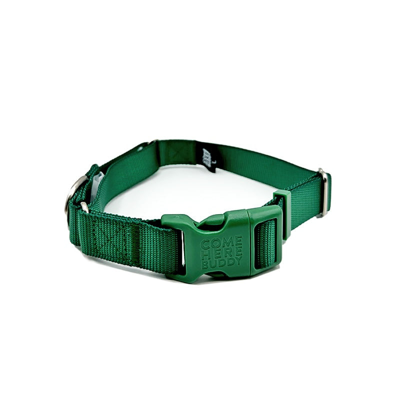 Martingale Dog Collar – Gentle, Safe and Stylish Dog Training Collar