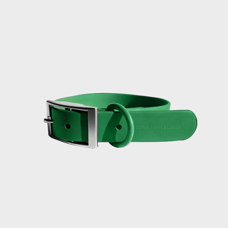 Everyday Collar - Durable, Comfortable Pet Collar for All Weather Use