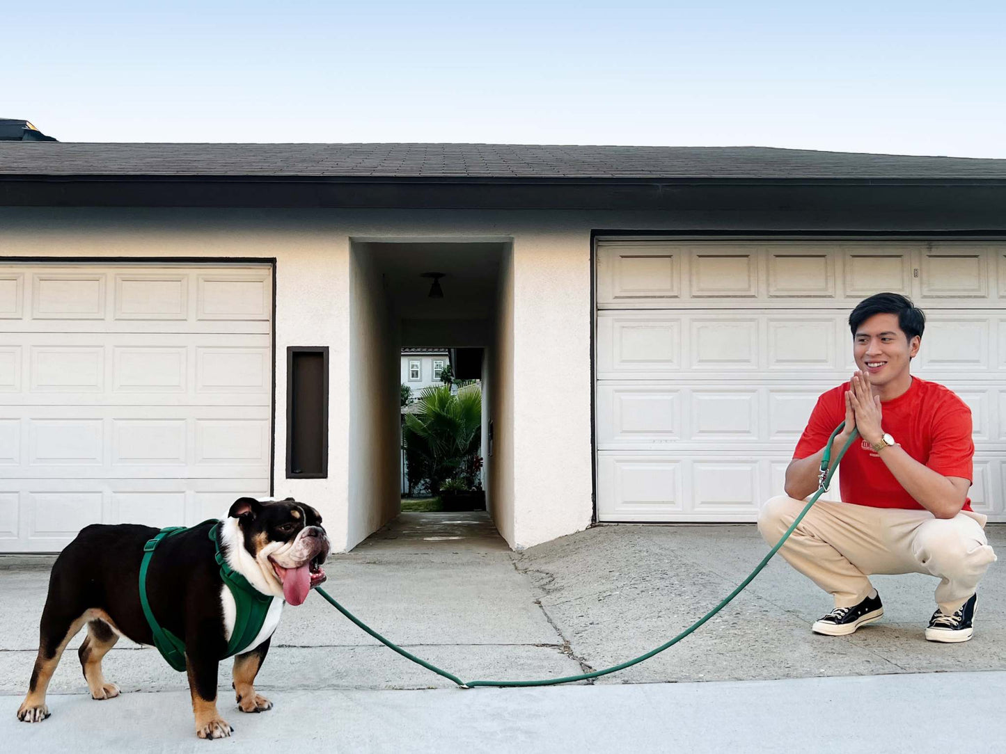 Kismet Dog Leash - Hands-Free, Adjustable & Vibrant Dog Walking Leash