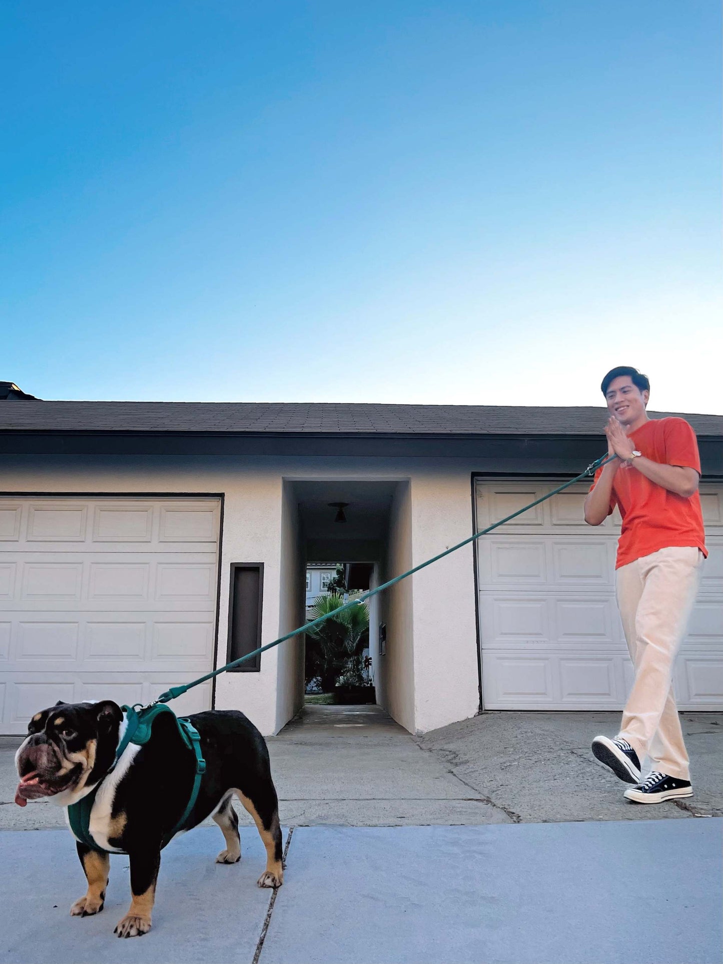 Kismet Dog Leash - Hands-Free, Adjustable & Vibrant Dog Walking Leash