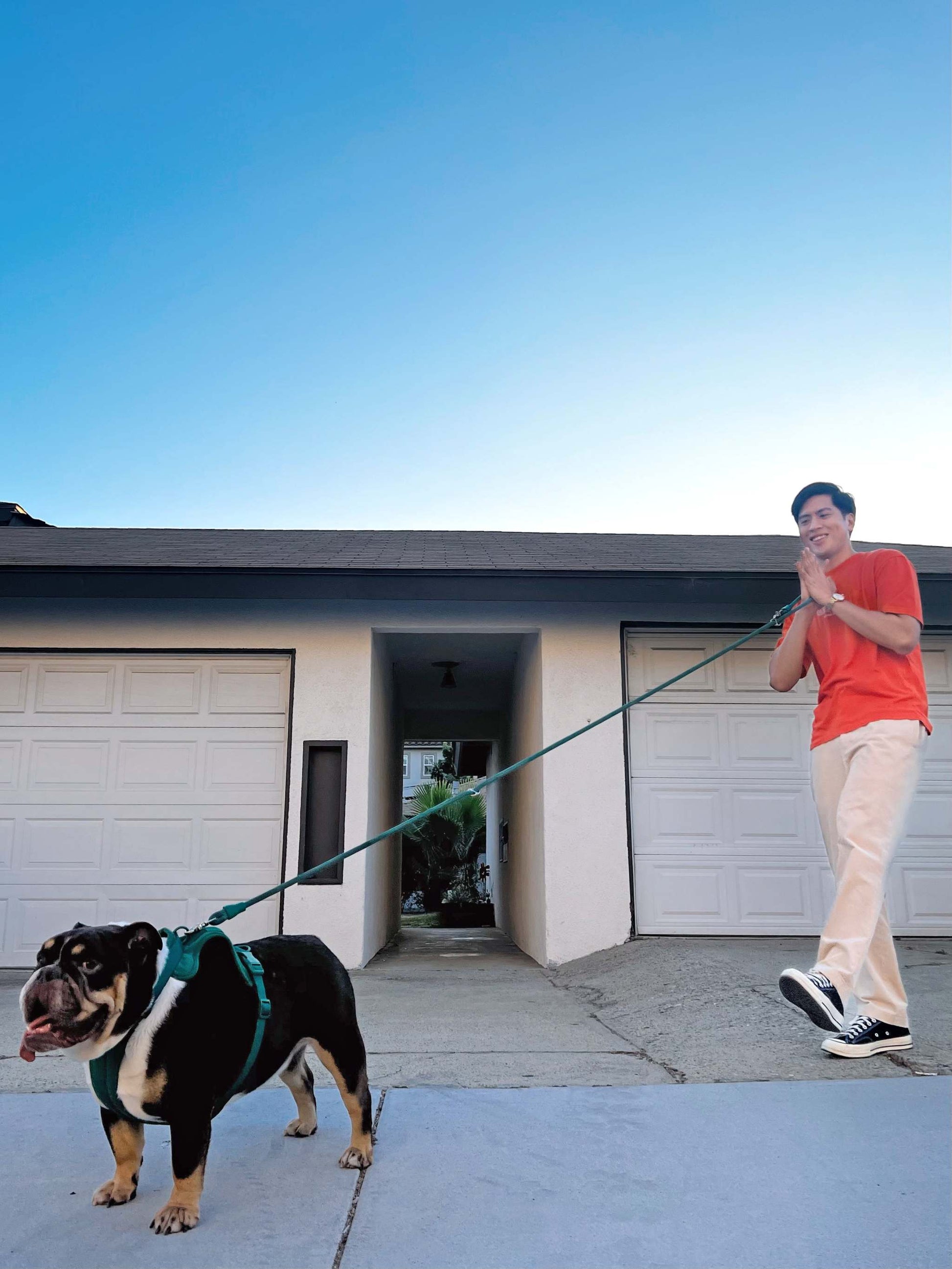 Kismet Dog Leash - Hands-Free, Adjustable & Vibrant Dog Walking Leash