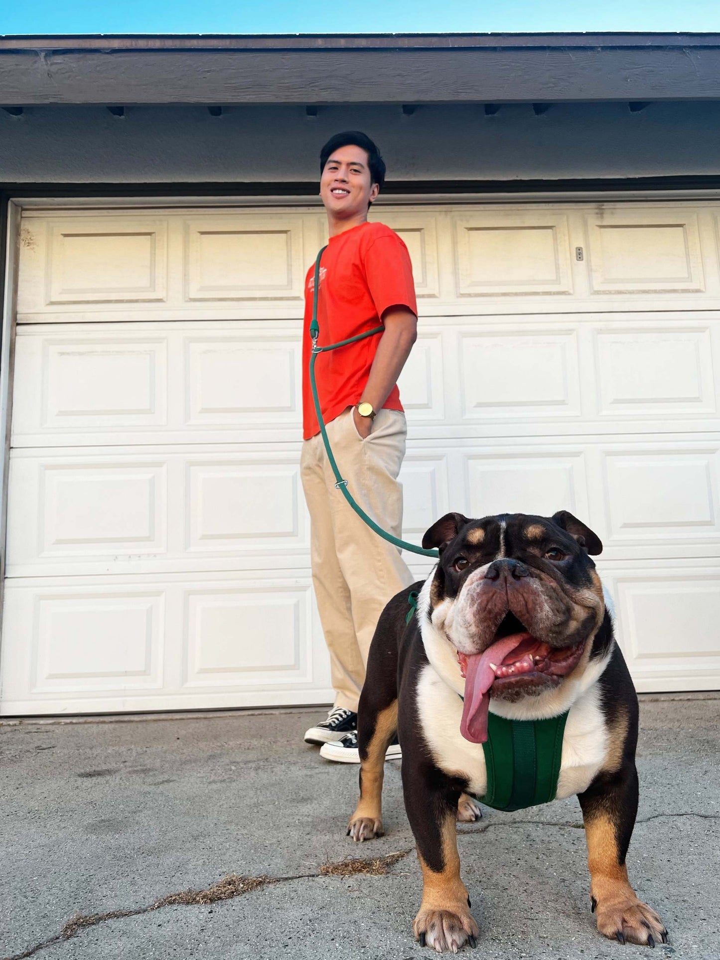 Kismet Dog Leash - Hands-Free, Adjustable & Vibrant Dog Walking Leash