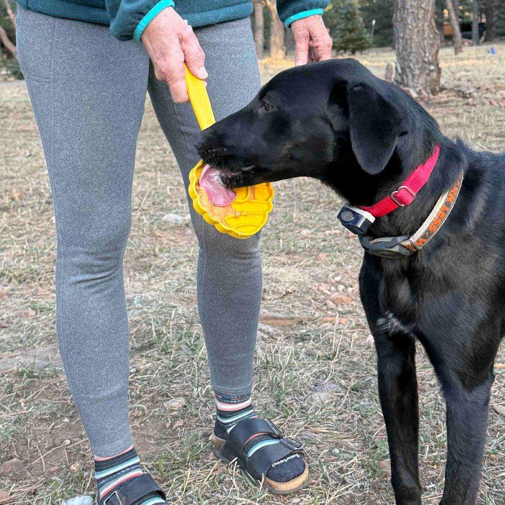 Hand-held interactive dog lick stick toy for enrichment and training