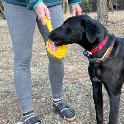 Hand-held interactive dog lick stick toy for enrichment and training