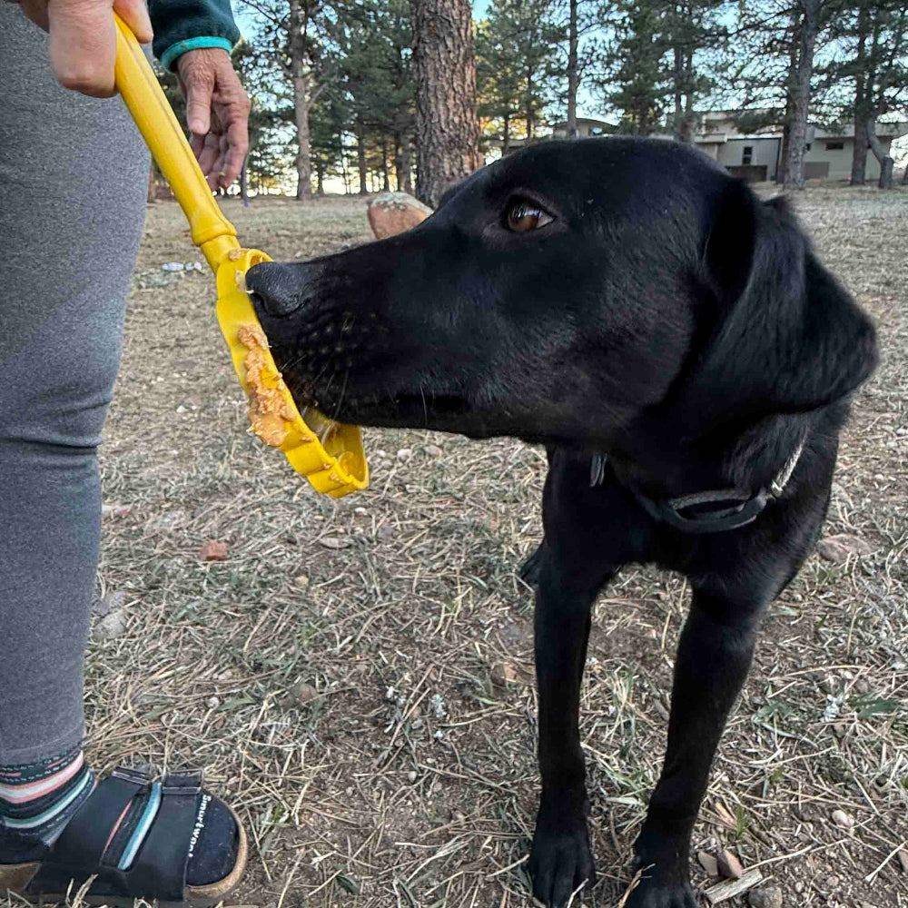Hand-held interactive dog lick stick for enrichment and training