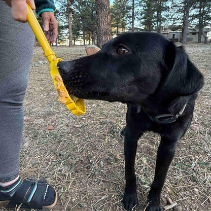 Hand-held interactive dog lick stick for enrichment and training