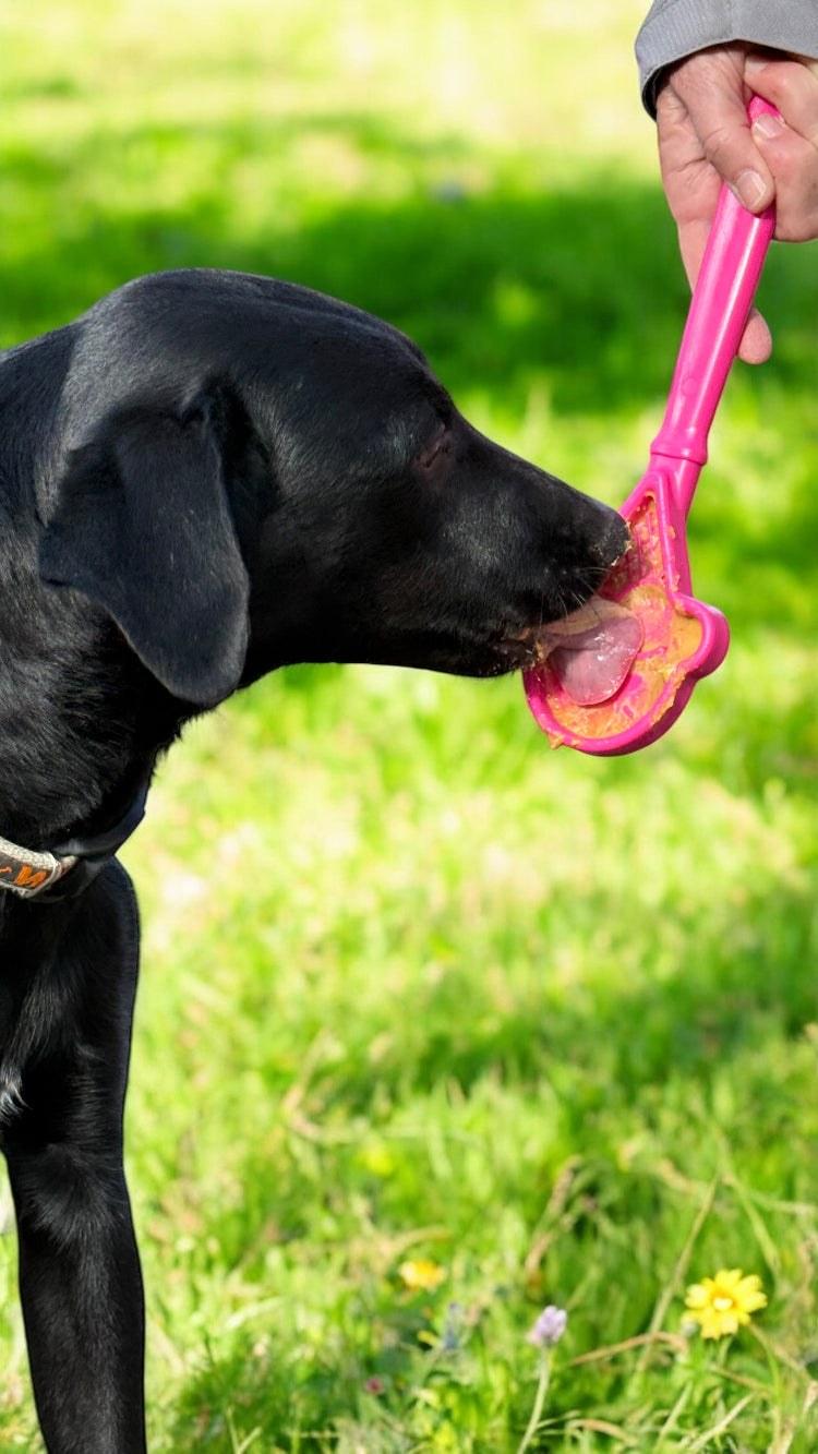 Hand-held eStick dog enrichment lick toy with textured surface for training