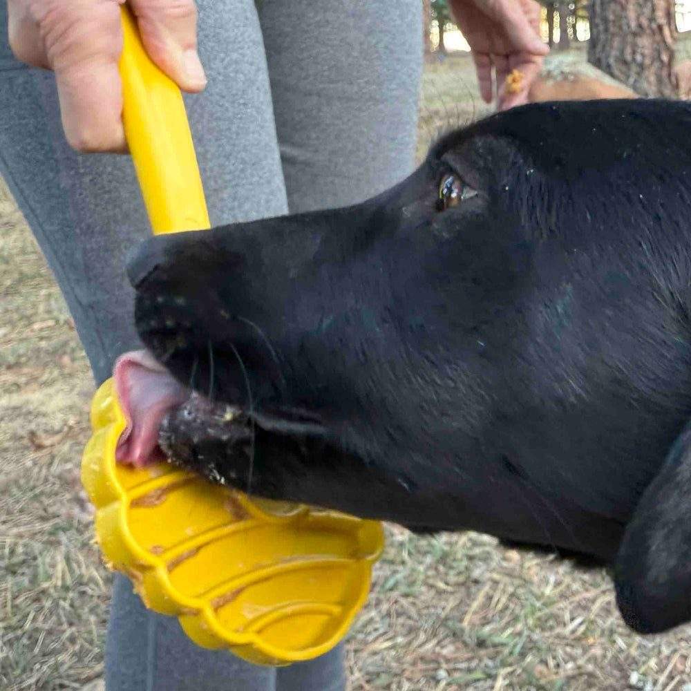 Hand-held eStick dog lick toy for enrichment and training