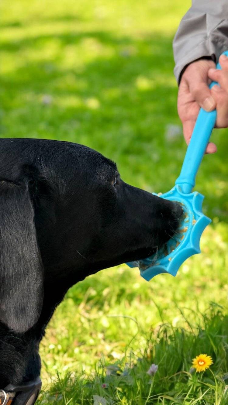 Hand-held eStick dog enrichment lick toy made in USA