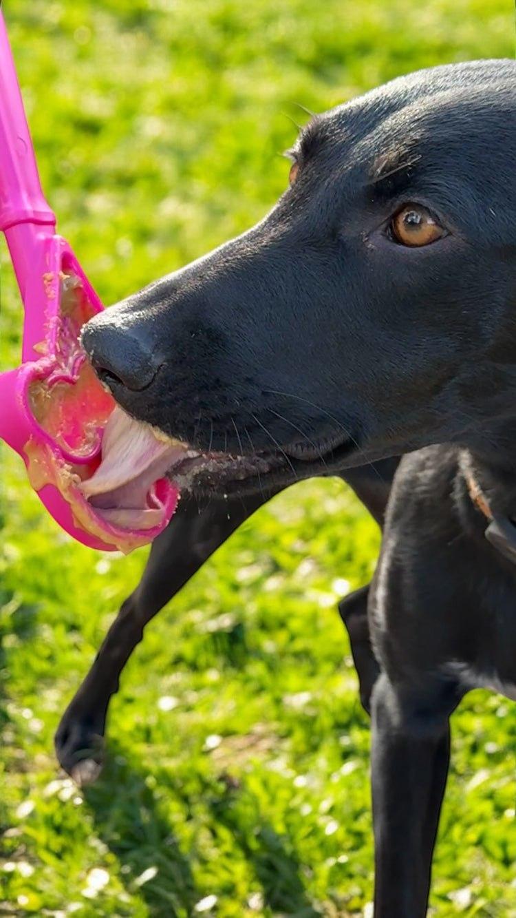 Hand-held interactive lick stick dog enrichment toy with textured surface