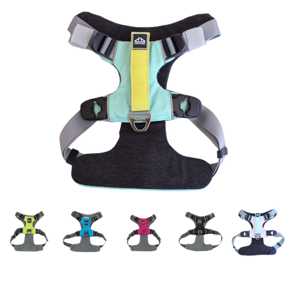 Everyday Adventure Dog Harness with EZ Fit straps and locking Velcro for quick adjustment, padded comfort, and water-resistant durability