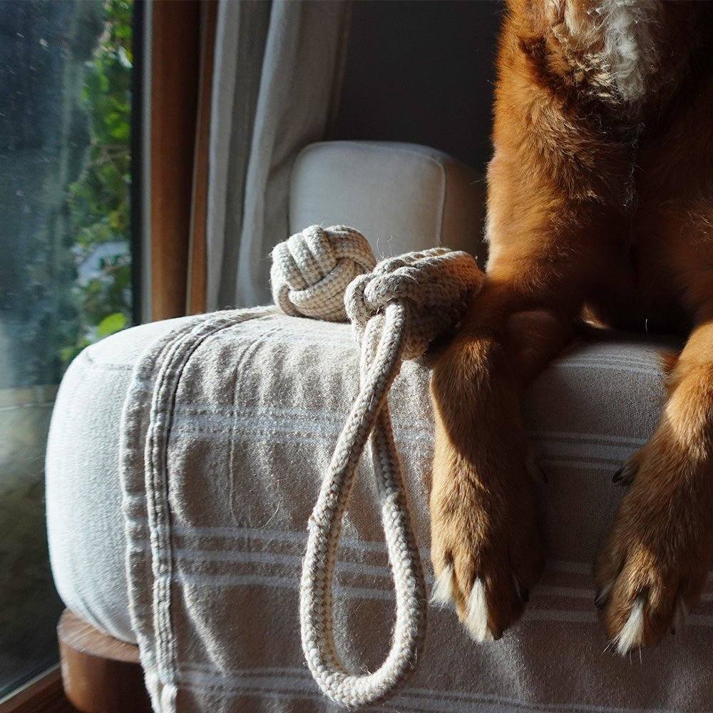 Indestructible hemp rope tug toy next to dog paws on couch