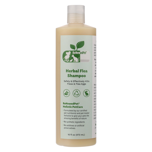 Bottle of ReNewedPet Herbal Flea Shampoo with exfoliating gloves