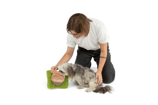 Hollywoof Nose Work Dog Toy with hidden treat pocket and squeaker