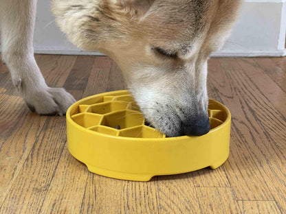 Honeycomb eBowl slow feeder dog bowl for mental enrichment and slow eating