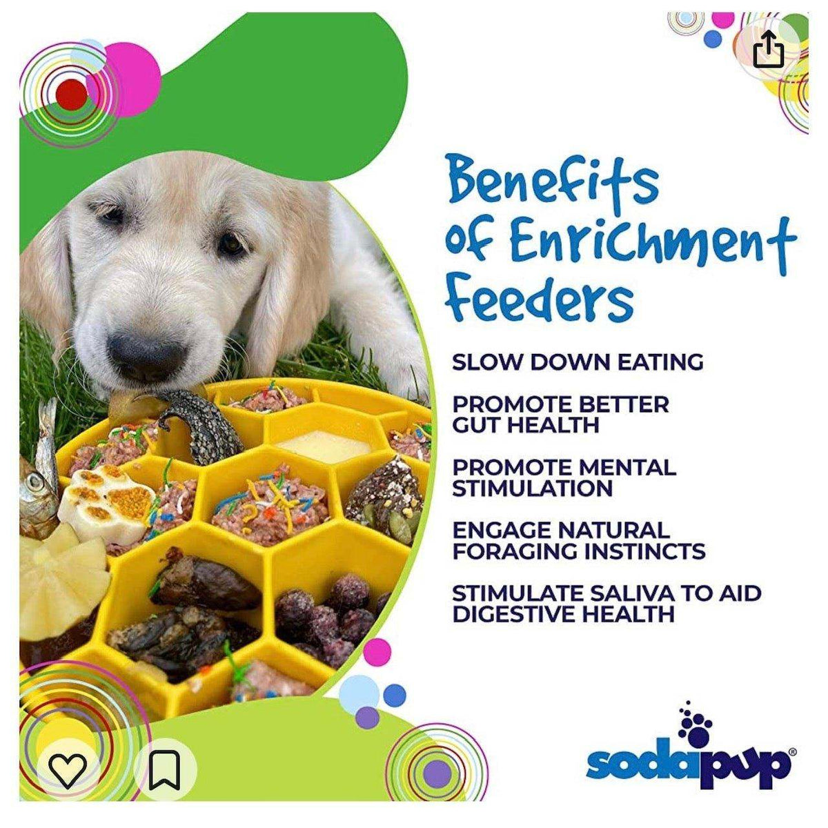 Honeycomb eBowl slow feeder dog bowl USA made for mental enrichment