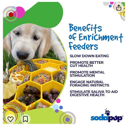 Honeycomb eBowl slow feeder dog bowl USA made for mental enrichment