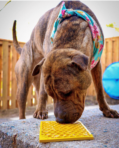 Honeycomb eMat dog lick mat with hexagonal textured surface for calming