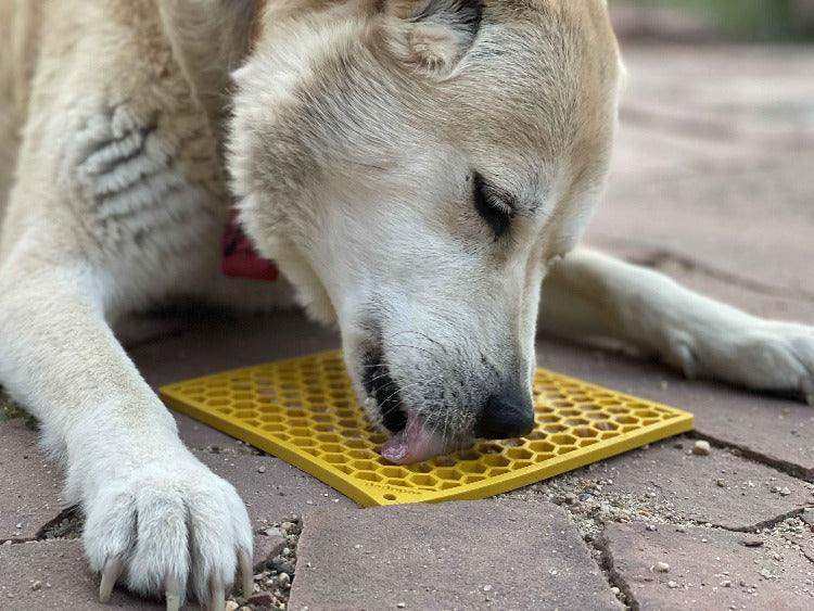 Honeycomb eMat dog lick mat with hexagonal texture for anxiety relief