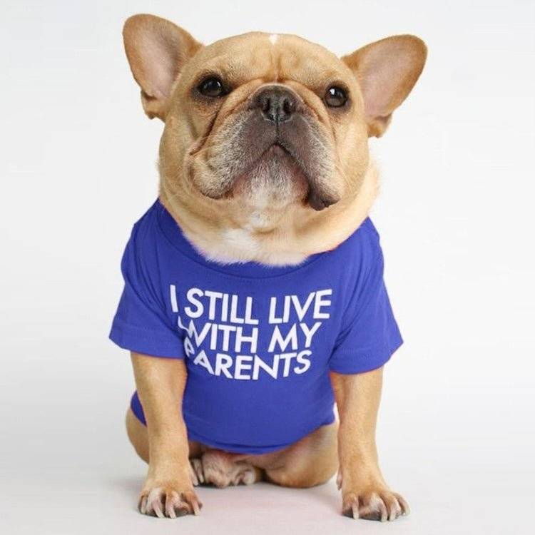 Pet wearing I Still Live With My Parents T-Shirt in bold text