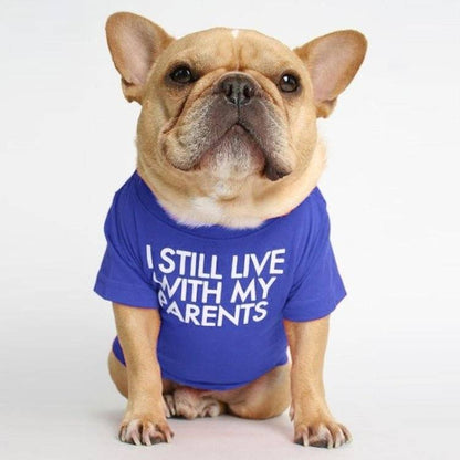 Pet wearing I Still Live With My Parents T-Shirt in bold text