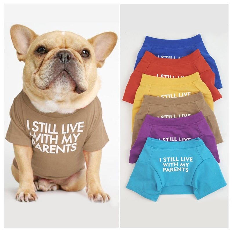 Pet wearing humorous I Still Live With My Parents T-Shirt