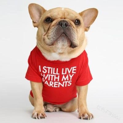 Pet wearing I Still Live With My Parents T-Shirt in black