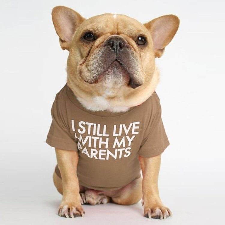 Pet wearing I Still Live With My Parents T-Shirt in black