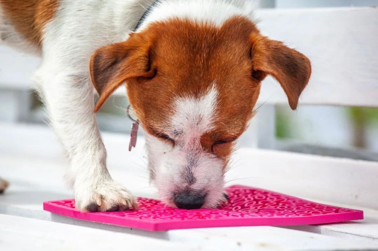Flower Power eMat - Enrichment Lick Mat for Dogs & Cats | USA Made