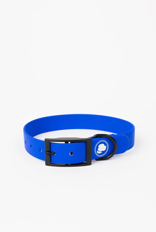 The Modern Dog Company - Royal Blue Collar (Weather + Odor Resistant)