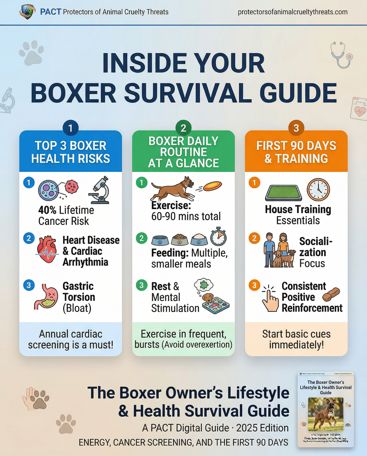 The Boxer Owner’s Lifestyle & Health Survival Guide 2025 Edition digital book