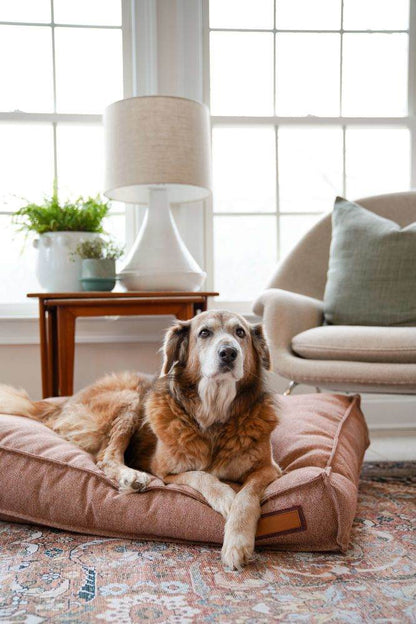 Dog resting on a Pittie Pink Lounger Pet Bed in a cozy living room setting