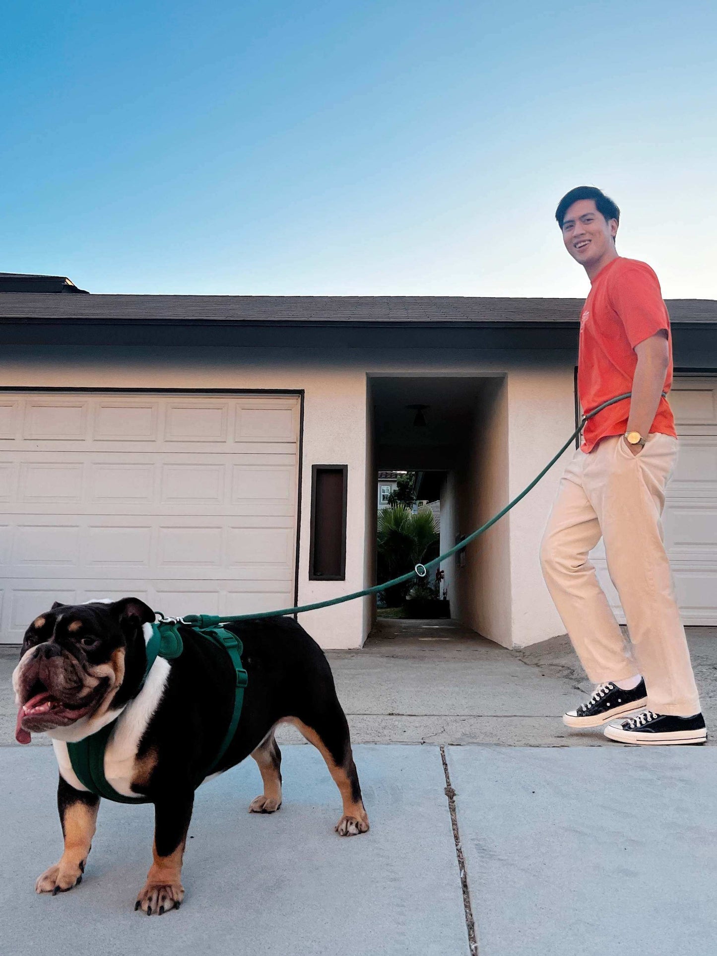 Hands-free kismet dog leash in vibrant color with metal hooks